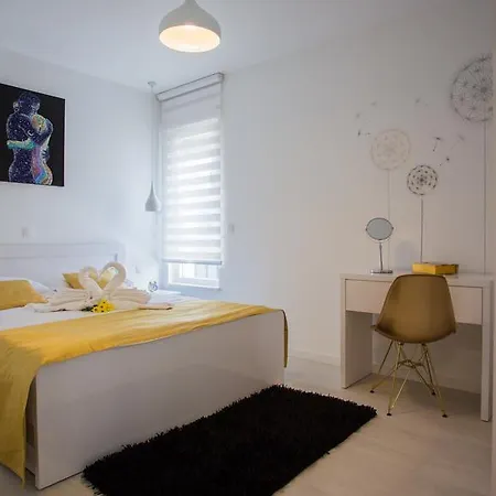 New Modern Apartment 